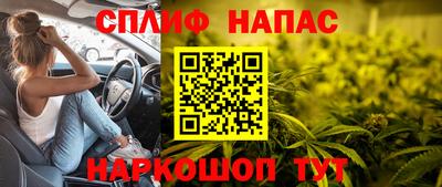 спиды Краснодар