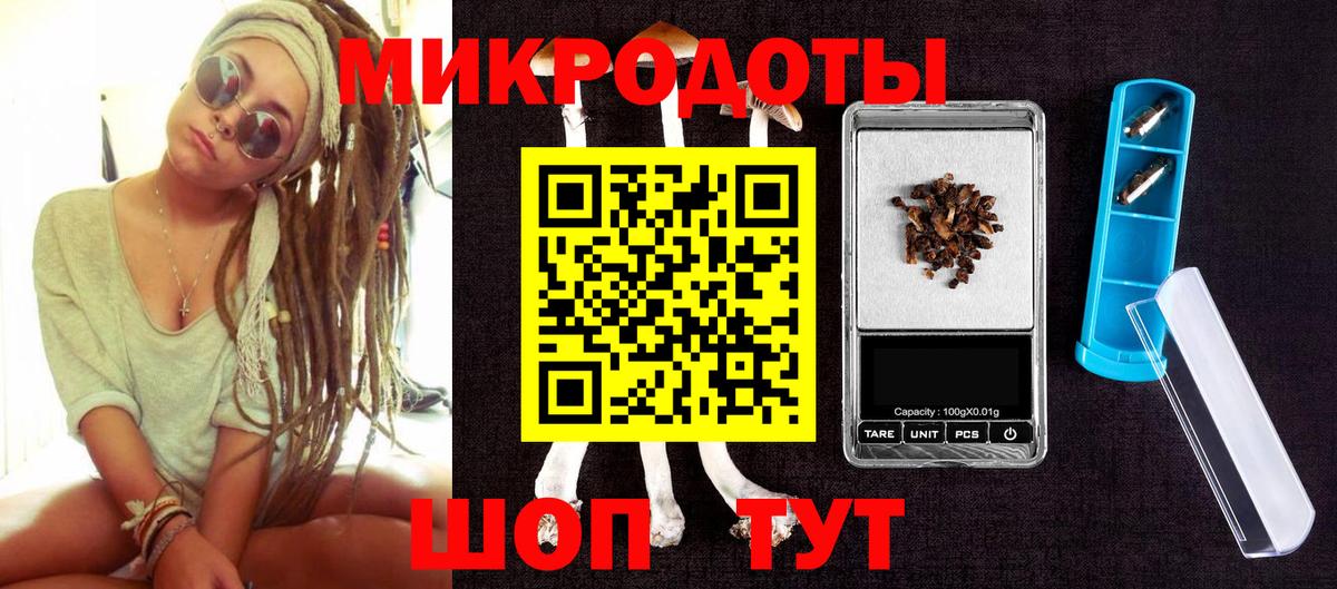 Галлюциногенные грибы Psilocybe Вичуга