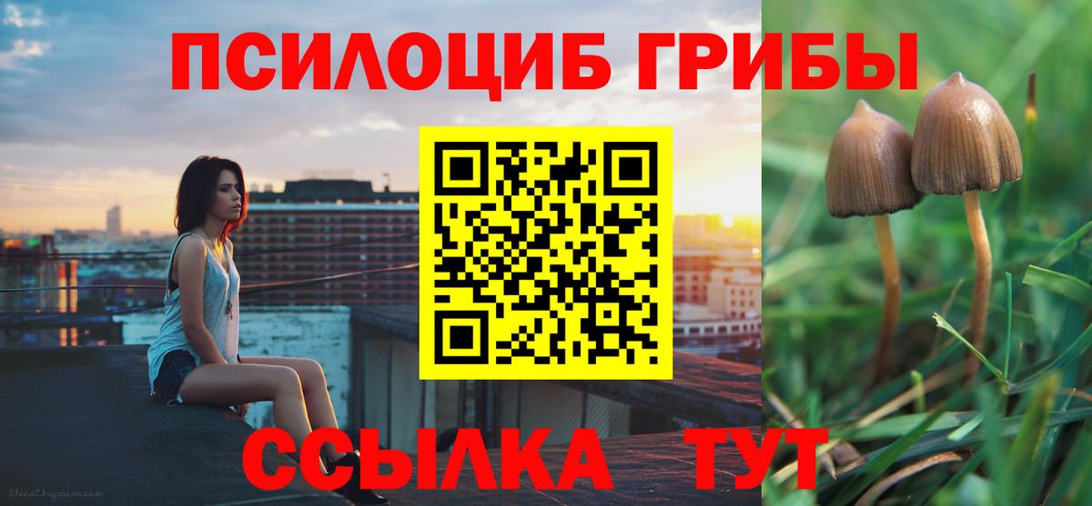 Галлюциногенные грибы ЛСД  Вход с VPN  Вичуга 